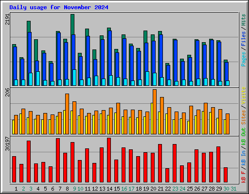 Daily usage for November 2024