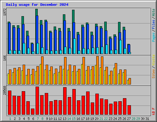 Daily usage for December 2024