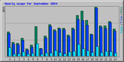 Hourly usage for September 2024