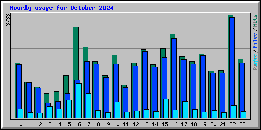 Hourly usage for October 2024