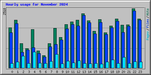 Hourly usage for November 2024