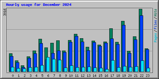 Hourly usage for December 2024