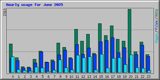 Hourly usage for June 2025