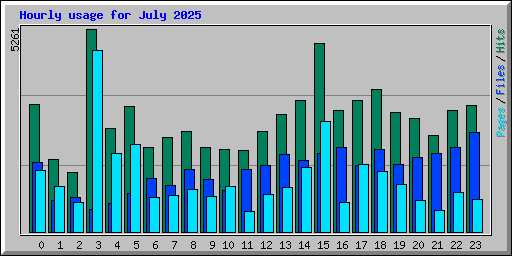 Hourly usage for July 2025