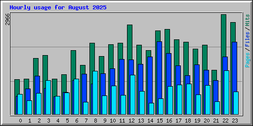 Hourly usage for August 2025