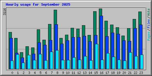 Hourly usage for September 2025
