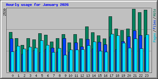 Hourly usage for January 2026