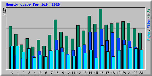 Hourly usage for July 2026